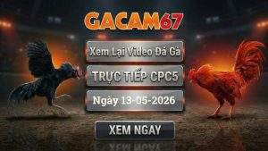 Xem Lại Video Đá Gà CPC5 Ngày 13/05/2026