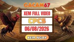 Xem Lại Video Đá Gà CPC5 Ngày 06/08/2026 Tại GACAM67