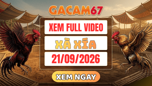 Xem Lại Video Đá Gà Xà Xía Ngày 21/09/2026 Trên GACAM67