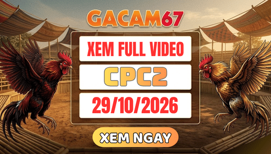 Xem Lại Video Đá Gà CPC2 Ngày 29/10/2026 Trên GACAM67
