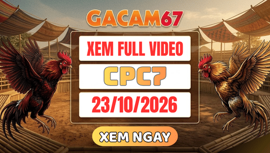 Xem Lại Video Đá Gà CPC7 Ngày 23/10/2026 Trên GACAM67